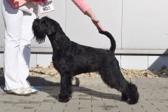 Calypso-unor-2020-1