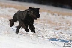 tiggycoursing1