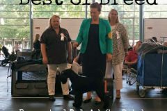 respect31