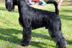 respect35