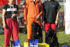 shaggy36