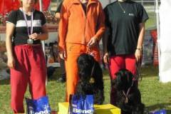 shaggy41